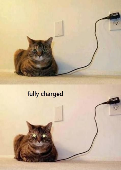 Bildschirmarbeiter - Picdump 22.11.2013