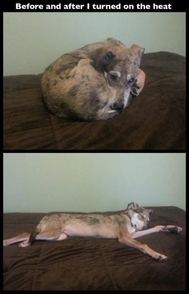 Bildschirmarbeiter - Picdump 22.11.2013