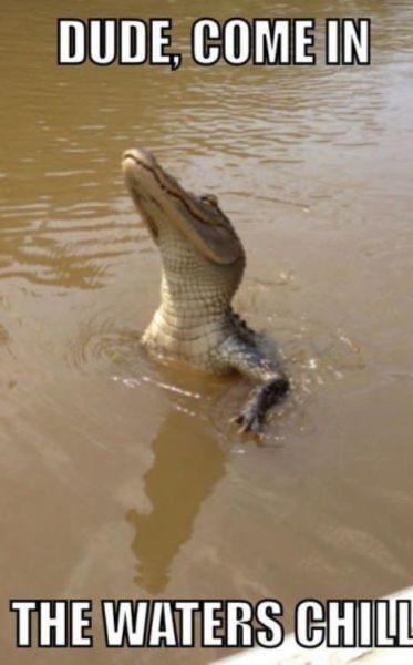 Bildschirmarbeiter - Picdump 22.11.2013