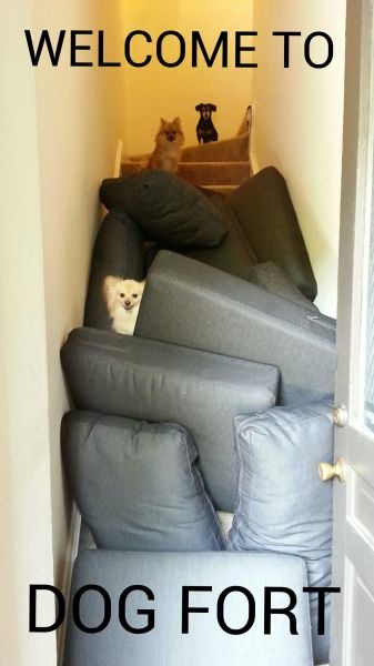 Bildschirmarbeiter - Picdump 22.11.2013