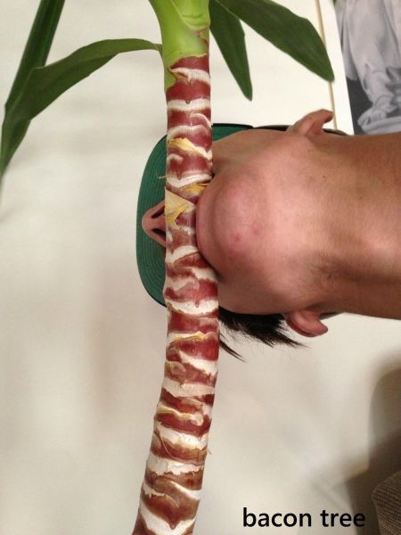 Bildschirmarbeiter - Picdump 22.11.2013