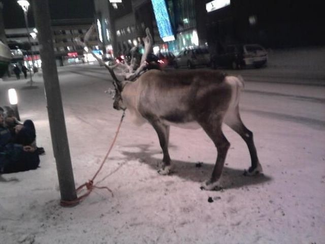 Bildschirmarbeiter - Picdump 22.11.2013