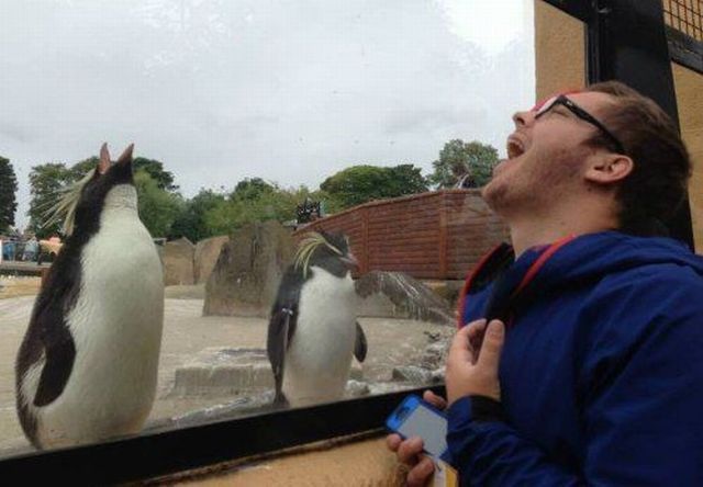 Bildschirmarbeiter - Picdump 22.11.2013