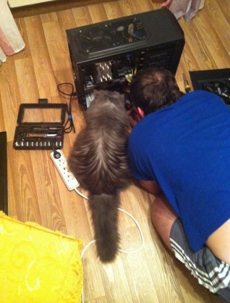 Bildschirmarbeiter - Picdump 22.11.2013