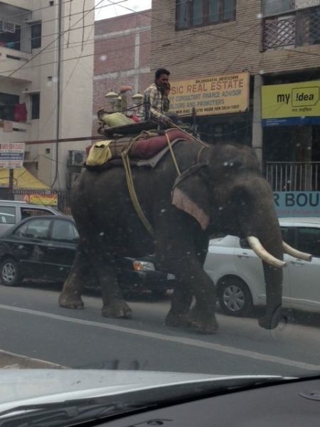 Bildschirmarbeiter - Picdump 22.11.2013