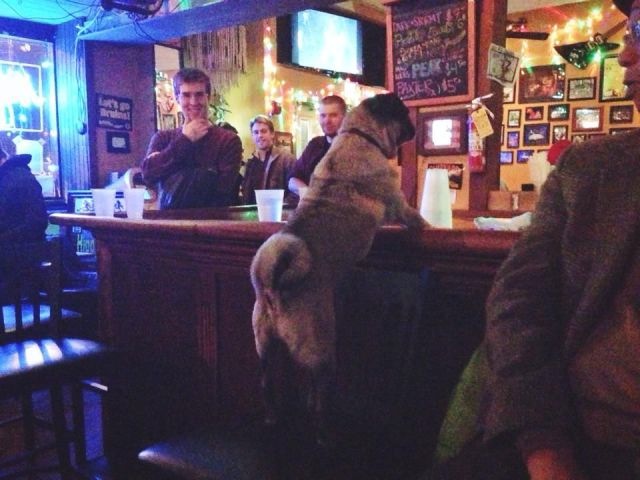 Bildschirmarbeiter - Picdump 22.11.2013