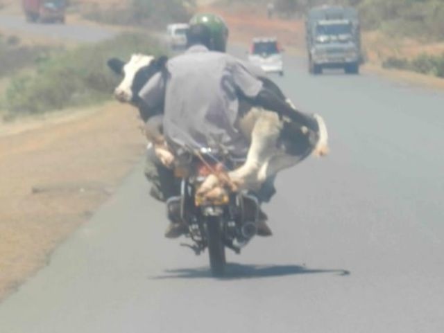 Bildschirmarbeiter - Picdump 06.12.2013