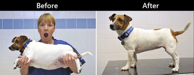 Bildschirmarbeiter - Picdump 06.12.2013