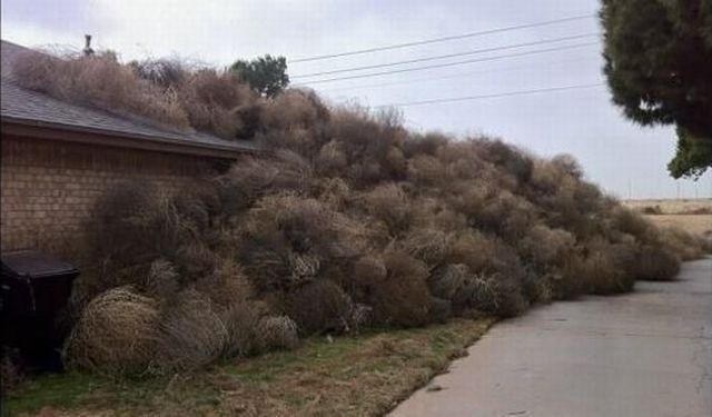 Bildschirmarbeiter - Picdump 06.12.2013