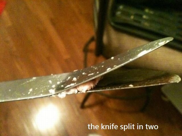 Bildschirmarbeiter - Picdump 06.12.2013