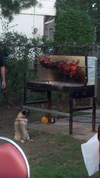 Bildschirmarbeiter - Picdump 06.12.2013