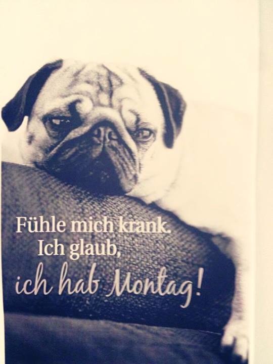 Bildschirmarbeiter - Picdump 06.12.2013