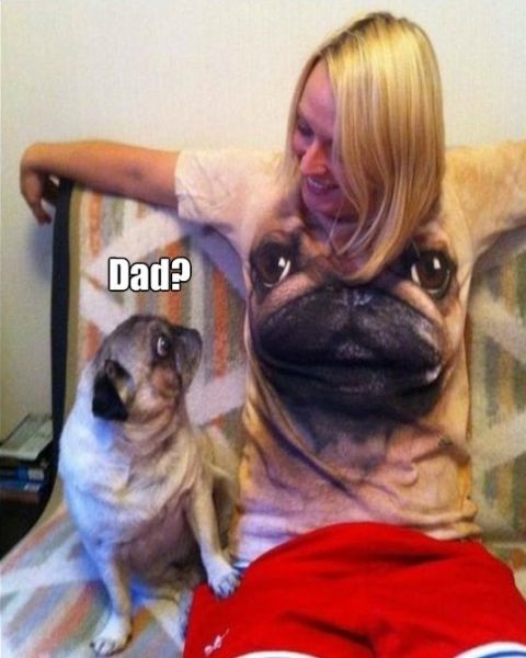 Bildschirmarbeiter - Picdump 06.12.2013