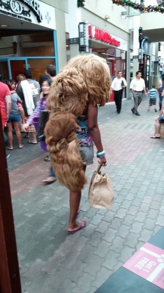 Bildschirmarbeiter - Picdump 06.12.2013