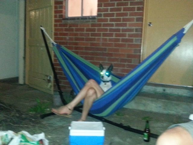 Bildschirmarbeiter - Picdump 06.12.2013