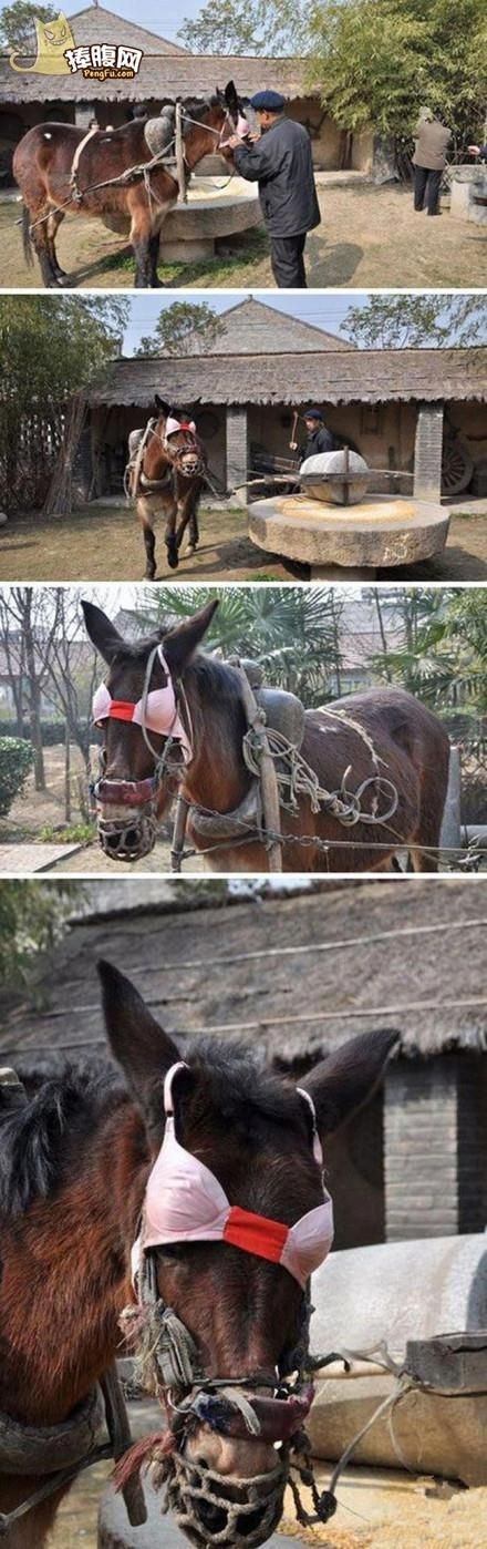 Bildschirmarbeiter - Picdump 06.12.2013