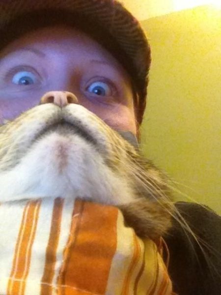 Bildschirmarbeiter - Picdump 13.12.2013