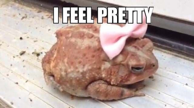 Bildschirmarbeiter - Picdump 13.12.2013