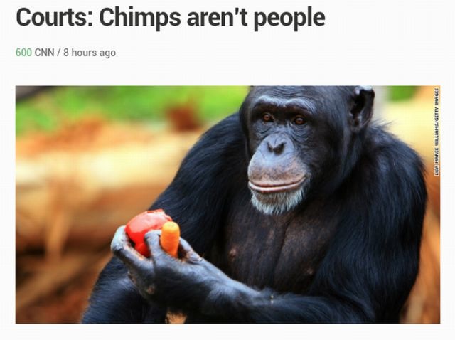 Bildschirmarbeiter - Picdump 13.12.2013