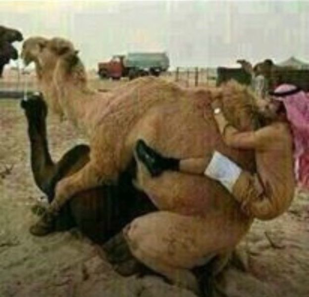 Bildschirmarbeiter - Picdump 13.12.2013