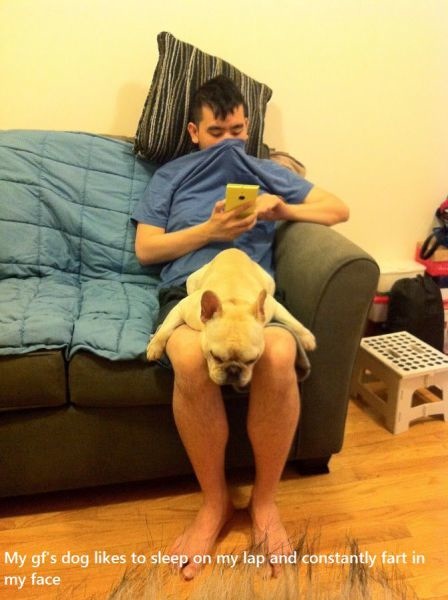 Bildschirmarbeiter - Picdump 13.12.2013