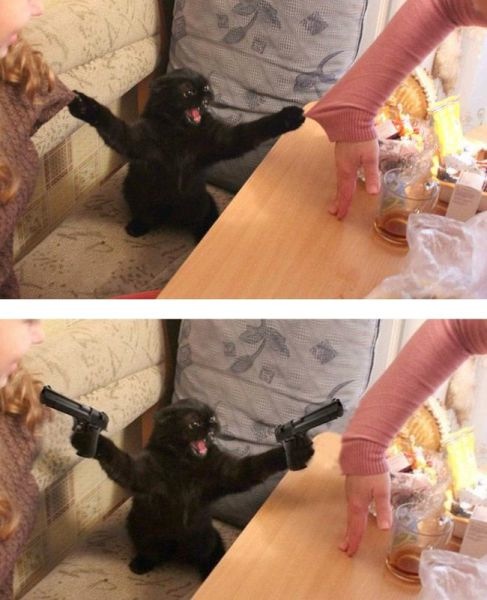 Bildschirmarbeiter - Picdump 13.12.2013