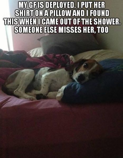 Bildschirmarbeiter - Picdump 13.12.2013