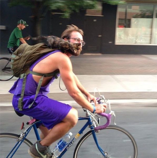 Bildschirmarbeiter - Picdump 13.12.2013