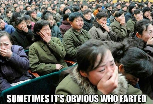 Bildschirmarbeiter - Picdump 13.12.2013