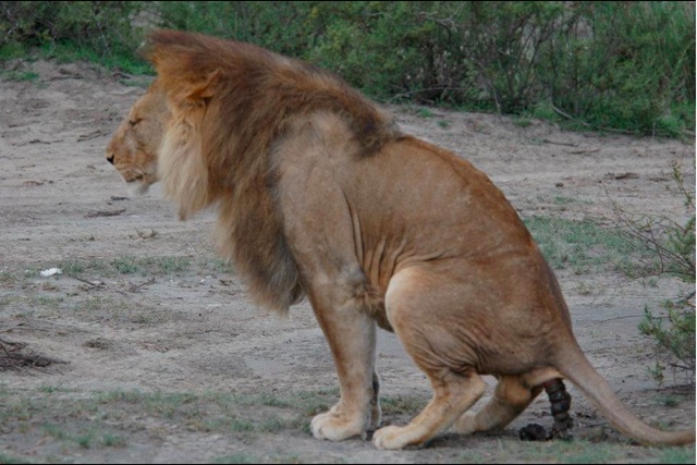 Bildschirmarbeiter - Picdump 13.12.2013