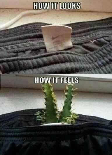 Bildschirmarbeiter - Picdump 20.12.2013