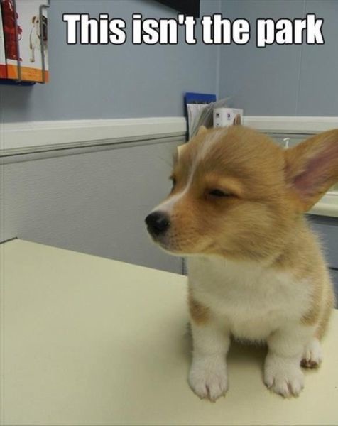 Bildschirmarbeiter - Picdump 20.12.2013