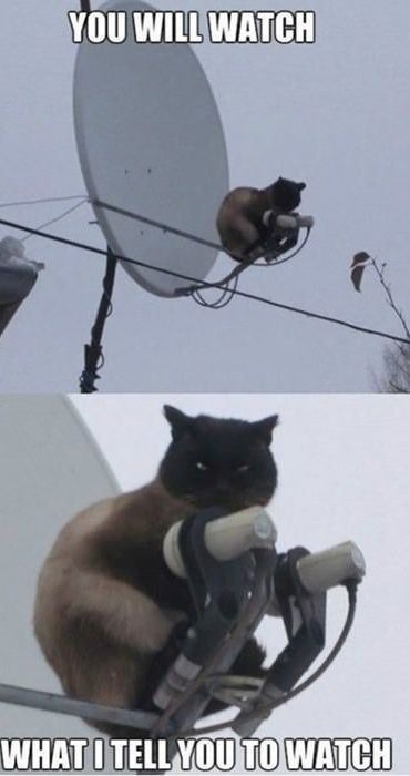 Bildschirmarbeiter - Picdump 20.12.2013