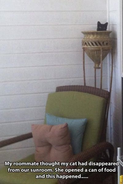 Bildschirmarbeiter - Picdump 20.12.2013