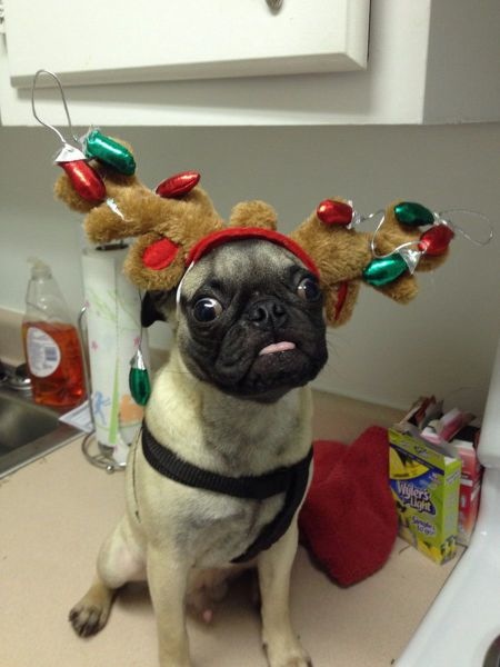 Bildschirmarbeiter - Picdump 20.12.2013