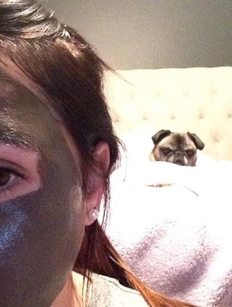 Bildschirmarbeiter - Picdump 20.12.2013