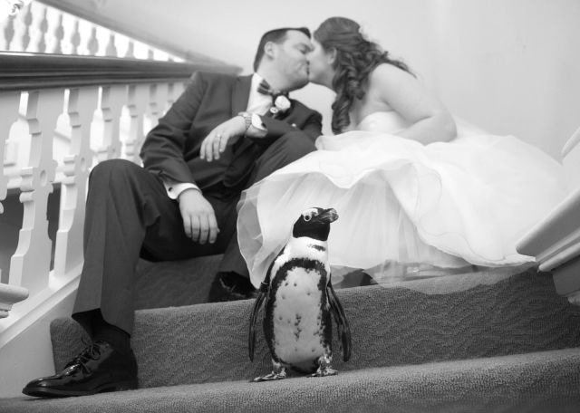 Bildschirmarbeiter - Picdump 20.12.2013