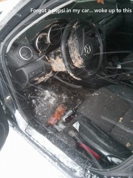 Bildschirmarbeiter - Picdump 20.12.2013