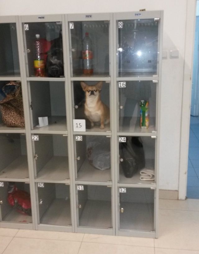 Bildschirmarbeiter - Picdump 20.12.2013