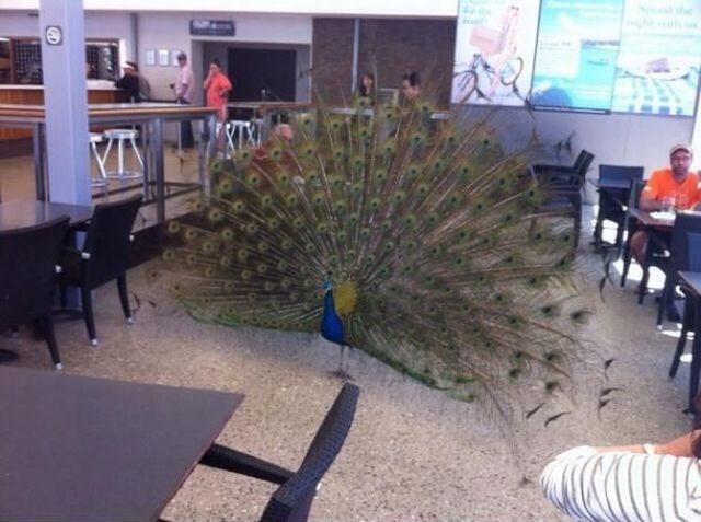 Bildschirmarbeiter - Picdump 20.12.2013