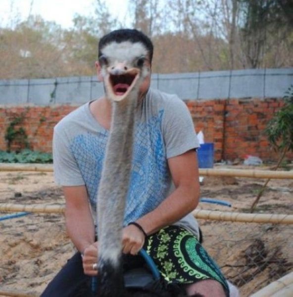 Bildschirmarbeiter - Picdump 20.12.2013