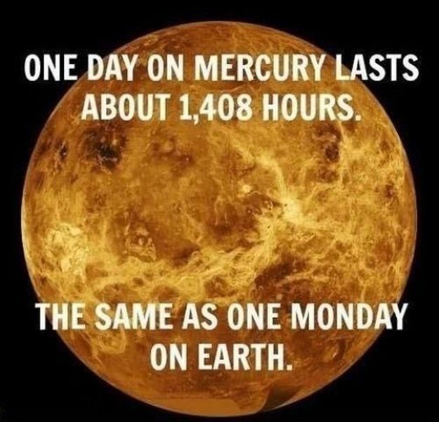 Bildschirmarbeiter - Picdump 20.12.2013