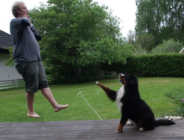 Bildschirmarbeiter - Picdump 20.12.2013