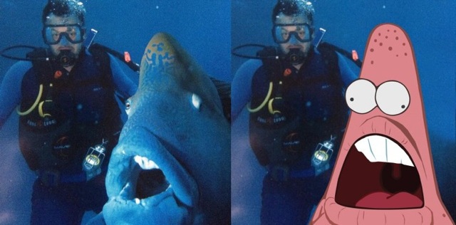 Bildschirmarbeiter - Picdump 20.12.2013