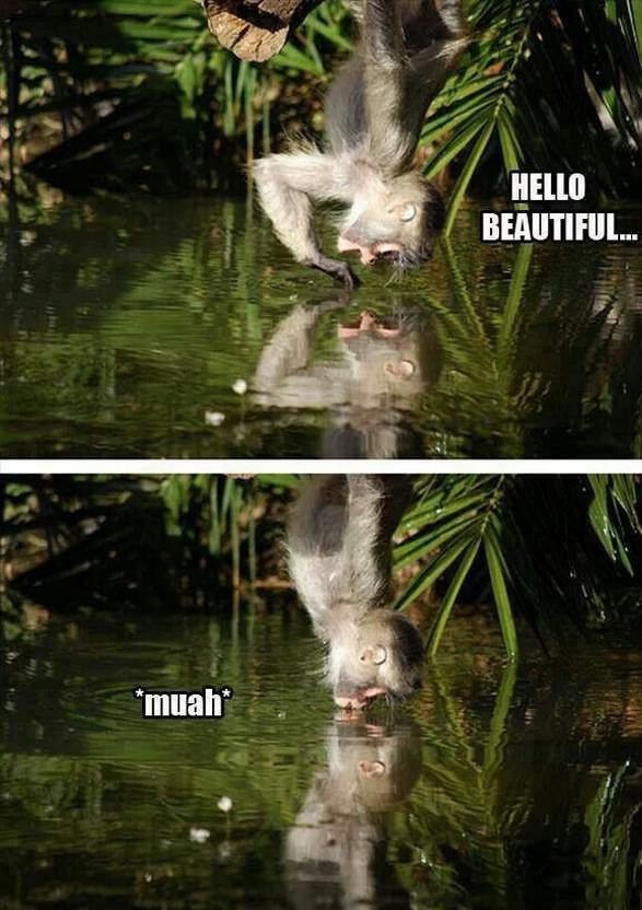 Bildschirmarbeiter - Picdump 20.12.2013