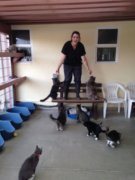 Bildschirmarbeiter - Picdump 27.12.2013