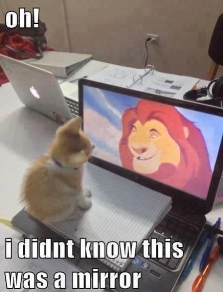 Bildschirmarbeiter - Picdump 27.12.2013