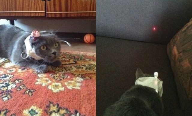 Bildschirmarbeiter - Picdump 27.12.2013