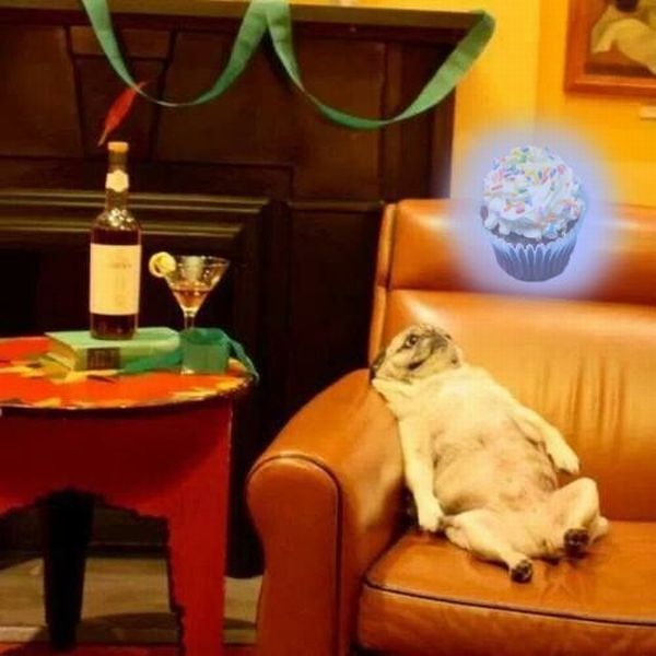 Bildschirmarbeiter - Picdump 27.12.2013