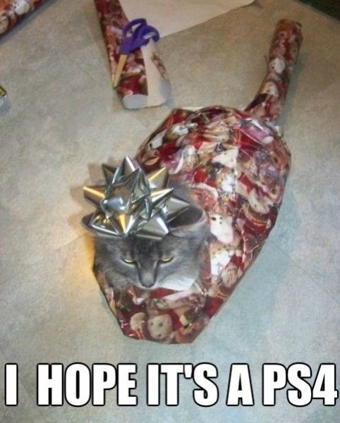 Bildschirmarbeiter - Picdump 27.12.2013